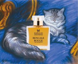 A 4 legszebb ámbra parfüm - 7scents