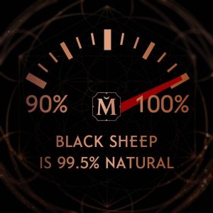 House Of Matriarch Black Sheep parfüm természetes