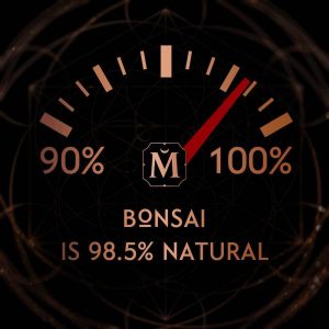 House Of Matriarch Bonsai természetes parfüm