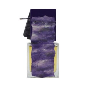 Filippo Sorcinelli Oceano Viola back